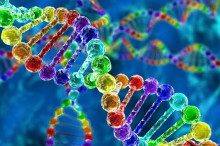 科学家发起人类基因组编写计划