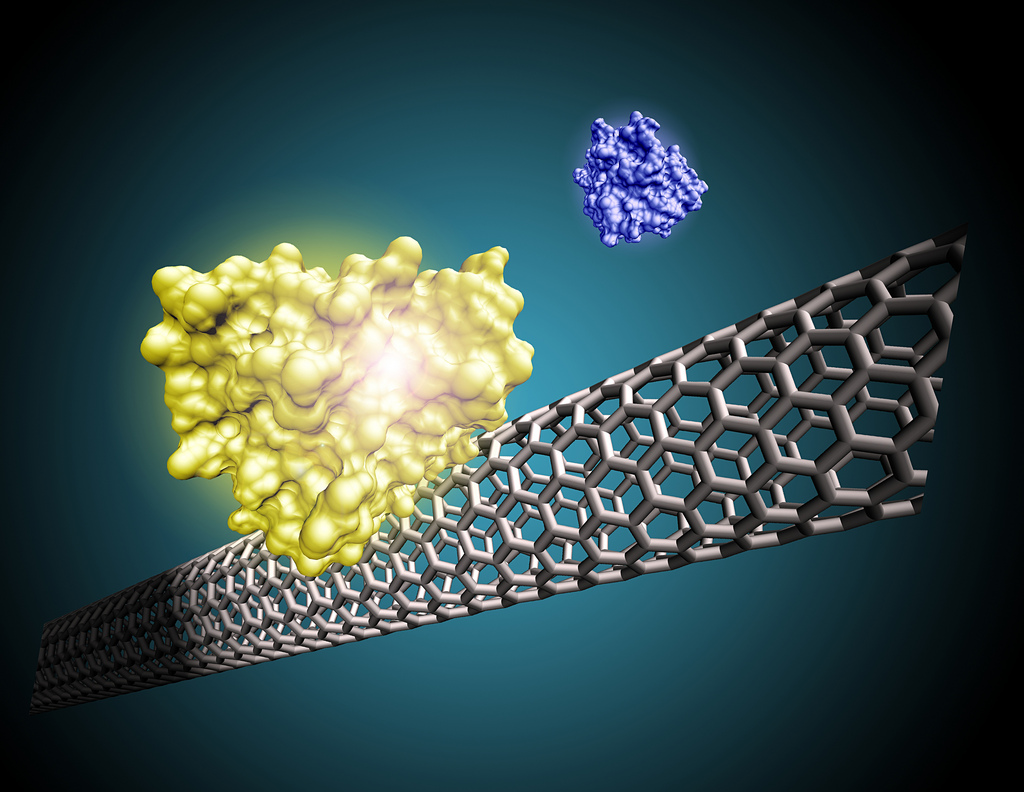 carbon nanotube-1