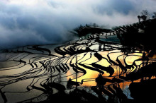 我国农村土地流转将出台“三权分置”改革制度