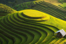 农村工作高层会议召开