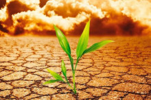 农业部提出土壤污染治理目标